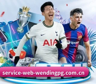 www.service-web-wendingpg.com.cn APP